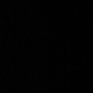 Meet your Posher, Max